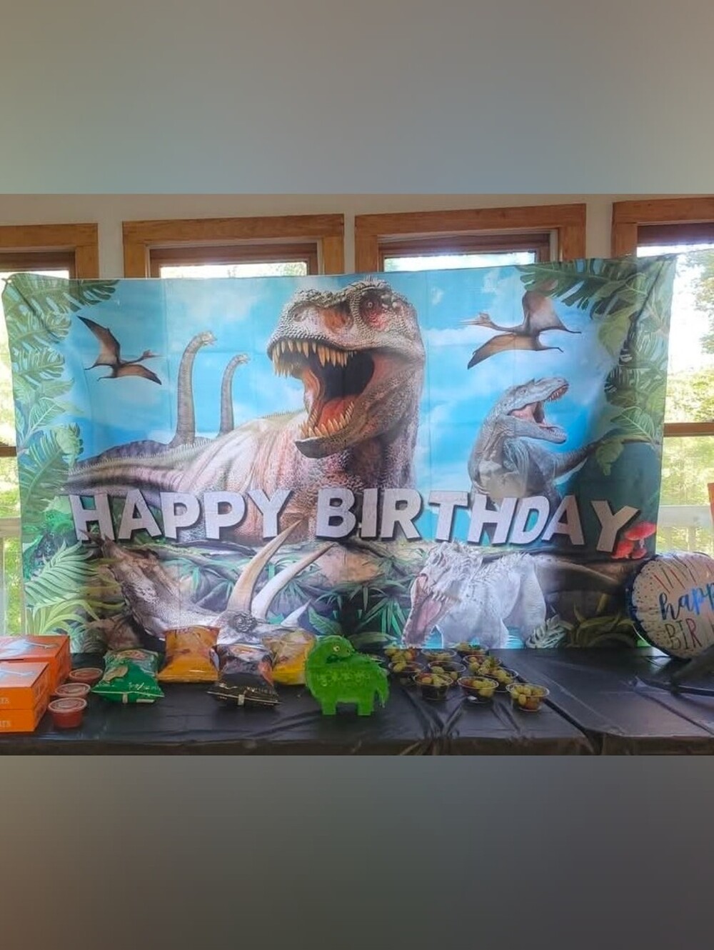 Dinosaur Happy Birthday Party Backdrop - Jurassic World/Park Theme
